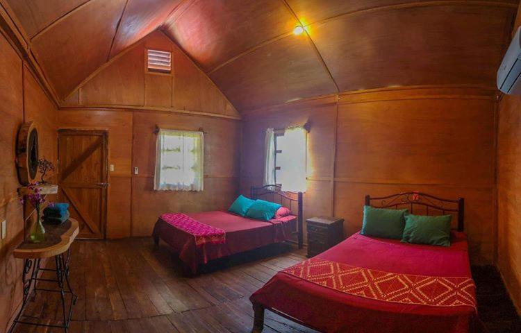 Green Monkey Hostel Bacalar Exterior photo
